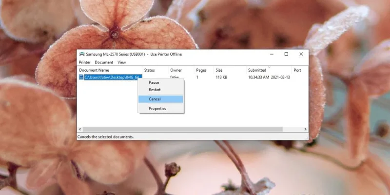 Pinter Offline [FIX] – Warum ist mein Drucker in Windows 10 offline?