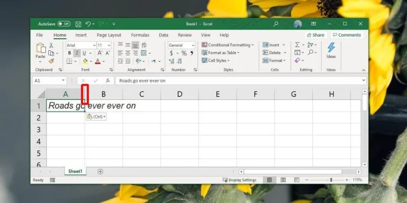 So beheben Sie den Textüberlauf in Zellen in Excel Office 365