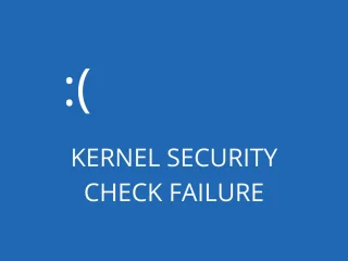 停止代碼內核安全檢查失敗 (Windows 10) – 已修復