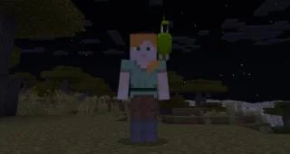 如何在 Minecaft 中馴服鸚鵡