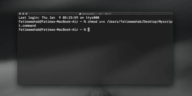 So führen Sie Terminalbefehle über ein Skript unter macOS aus