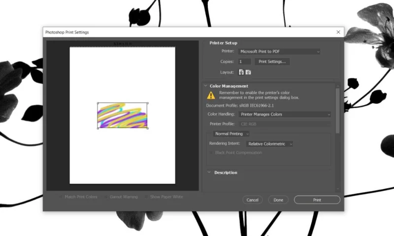 在 Windows 10 中打印時 Photoshop 不斷崩潰（完全修復）