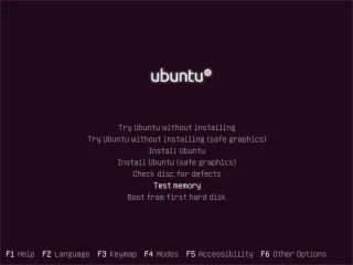 Come risolvere i problemi della RAM su Linux