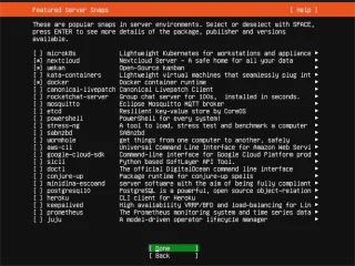 Jak zainstalować Ubuntu Server 21.04 przez USB?