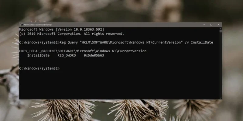 Cómo buscar valores de registro desde el símbolo del sistema en Windows 10