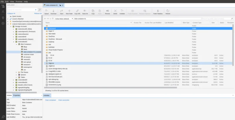 Come installare Microsoft Azure Storage Explorer su Linux
