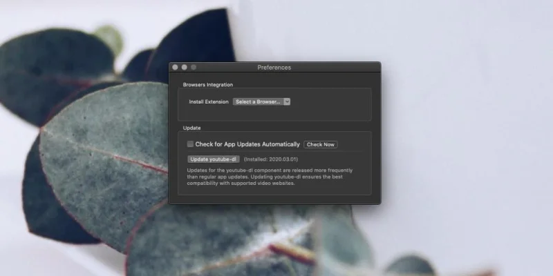 So laden Sie YouTube-Videos auf macOS herunter