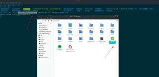 4 modi per eseguire il backup delle app Linux Wine