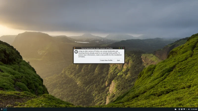 如何修復 Ubuntu 中的 Firefox 配置文件錯誤 如何修復 Ubuntu 中的 Firefox 配置文件錯誤