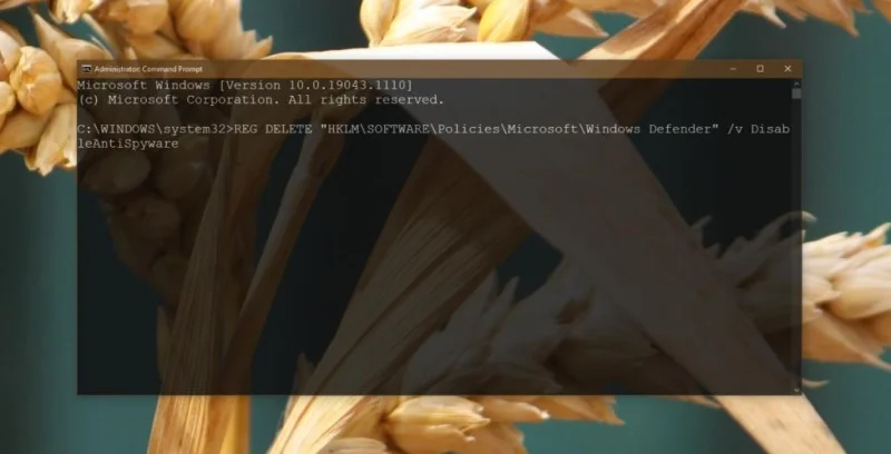 如何修復 Windows Defender 被組策略停用