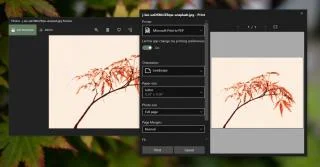 打印時 Windows 照片崩潰 - 這是修復