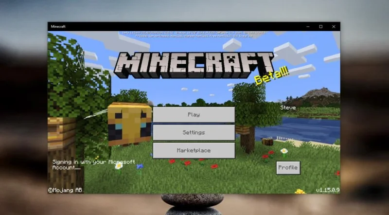 Minecraft Crossplay