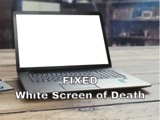白屏死機：如何修復 Windows 10 中的空白白屏