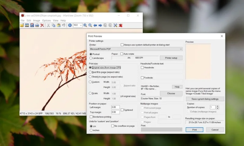 打印時 Windows 照片崩潰 - 這是修復