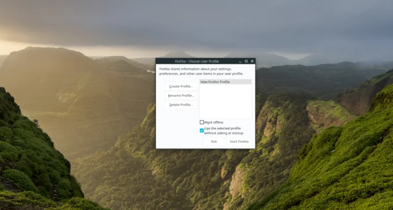 如何修復 Ubuntu 中的 Firefox 配置文件錯誤