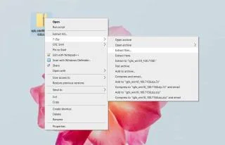 如何選擇在 Windows 10 上提取存檔的位置