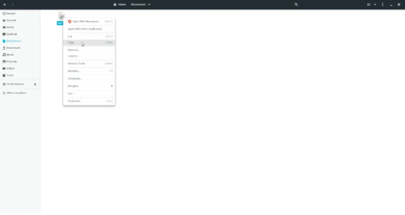 在 Ubuntu Linux 中將文件從一個目錄複製到另一個目錄 [指南]