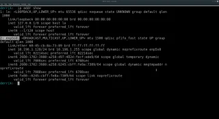 Wondershaper를 사용하여 Linux에서 대역폭을 관리하는 방법