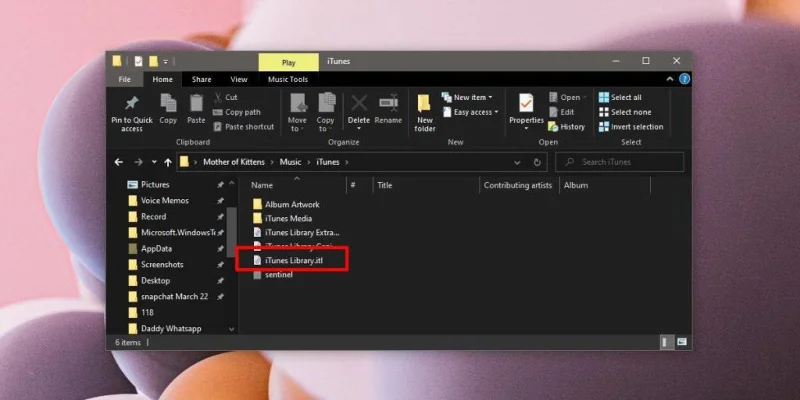 如何修復文件“iTunes library.itl”無法在 Windows 10 上讀取錯誤