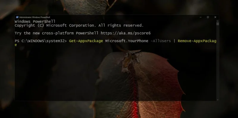 什麼是 YourPhone.exe？如何在 Windows 10 上退出 YourPhone EXE 進程