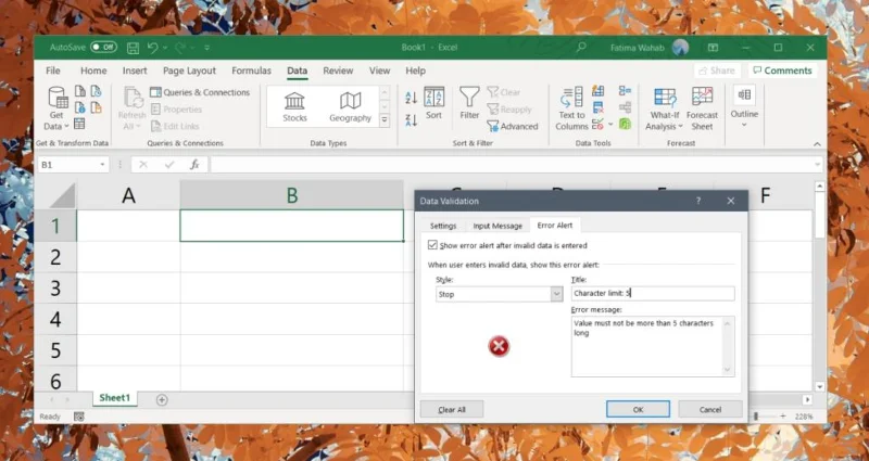 So fügen Sie Zellen in Excel eine Zeichenbeschränkung hinzu