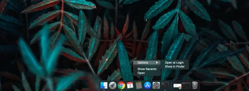 So sperren Sie das Dock unter macOS