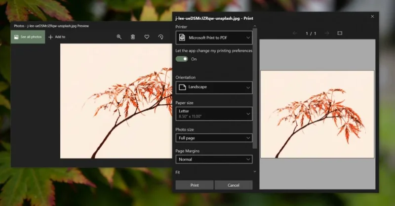 打印時 Windows 照片崩潰 - 這是修復