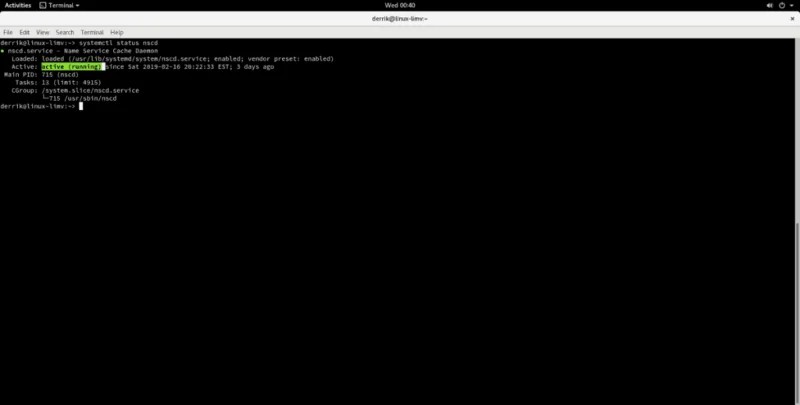 Jak opróżnić pamięć podręczną DNS w systemie Linux?