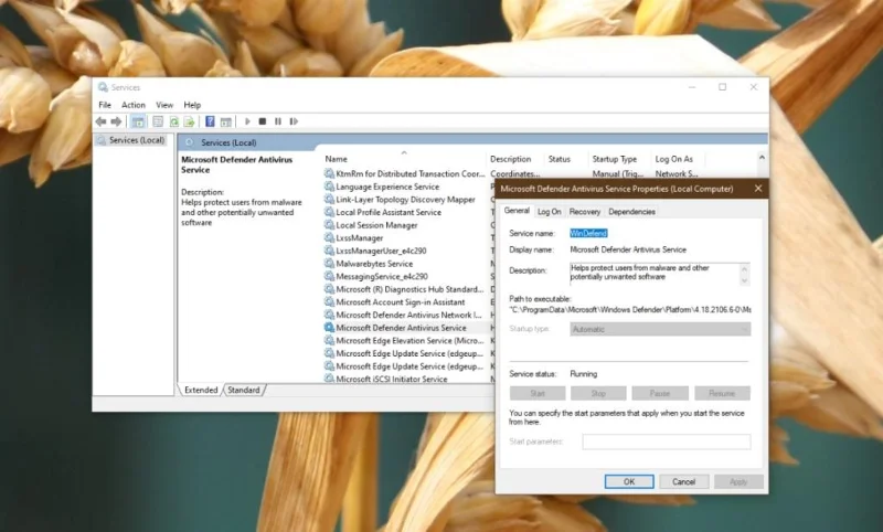 如何修復 Windows Defender 被組策略停用