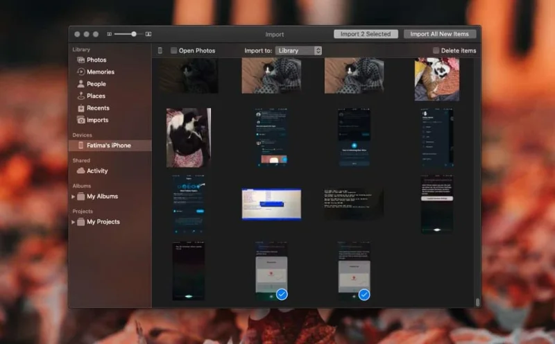 Come accedere ai file di foto da un iPhone su macOS
