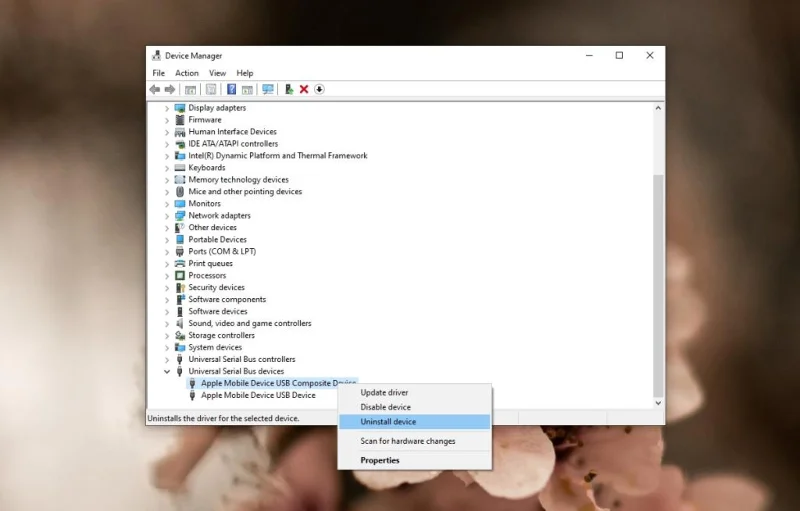 Windows non riesce a vedere le foto di iPhone: ecco come accedere ai file su iPhone