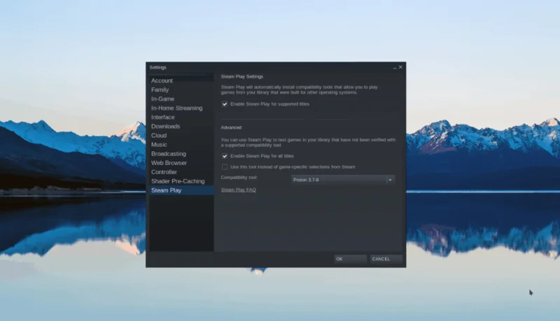 Steam 설정 화면