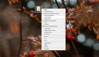 如何在 Windows 10 上創建文件夾中所有項目的列表
