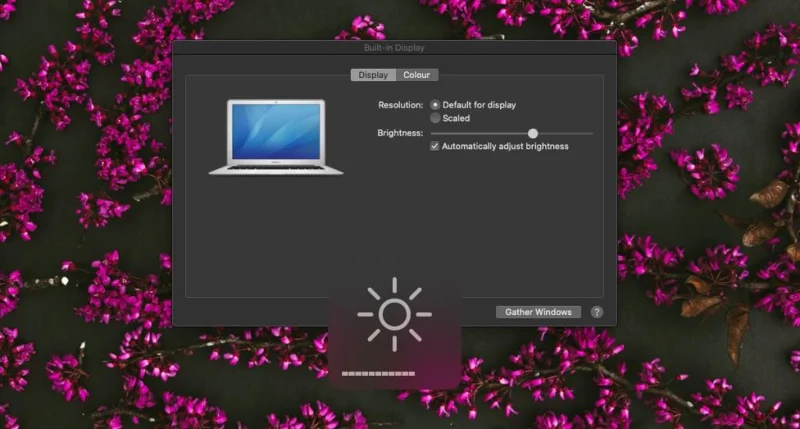 So ändern Sie die Helligkeit für alle Displays unter macOS
