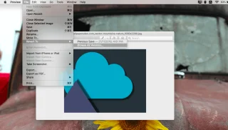 Come ripristinare le immagini modificate in Anteprima su macOS