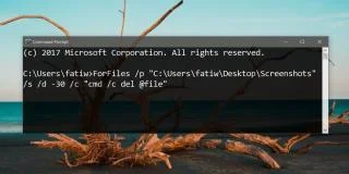 如何在 Windows 10 上自動刪除超過 X 天的文件
