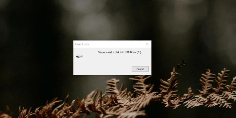 如何修復請在 Windows 10 上將磁盤插入 USB 驅動器