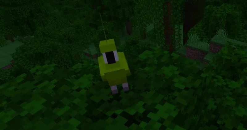 如何在 Minecaft 中馴服鸚鵡