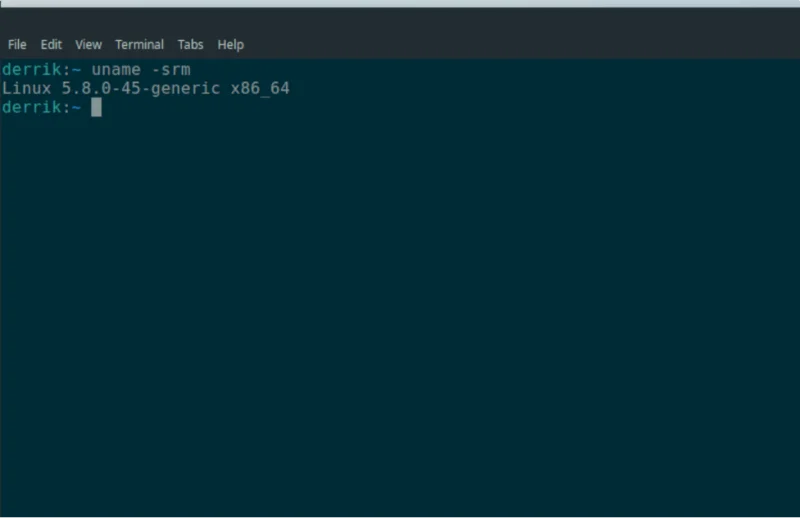 Ubuntu：檢查內核版本 [指南]