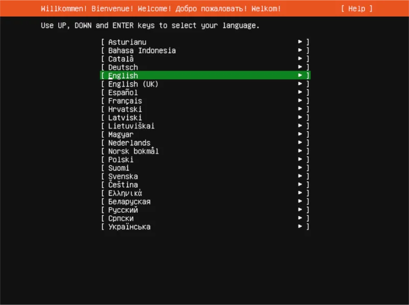So installieren Sie Ubuntu Server 21.04 über USB