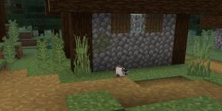 如何在 Minecraft 中馴服貓