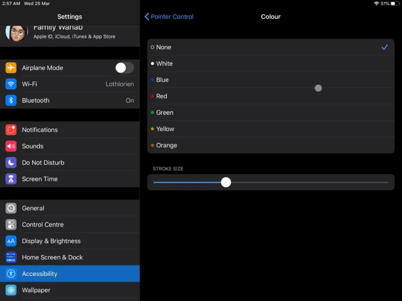 Come personalizzare il puntatore del mouse su iPadOS