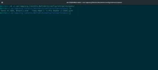 如何在 Linux 上備份 Retroarch 遊戲存檔