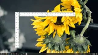 如何在 Windows 10 上向屏幕添加標尺