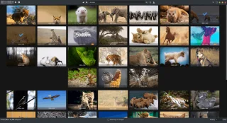 كيفية العثور على خلفيات Linux جديدة لـ Gnome باستخدام Wonderwall