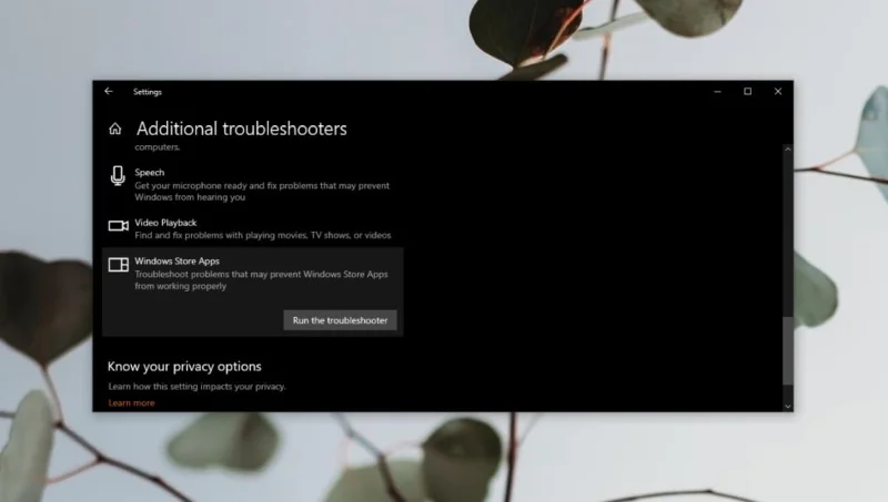 Fresh Paint 應用程序在 Windows 10 中不斷崩潰（已修復）
