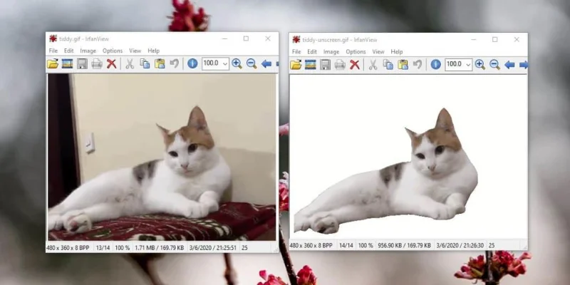 كيفية إزالة الخلفية من GIF