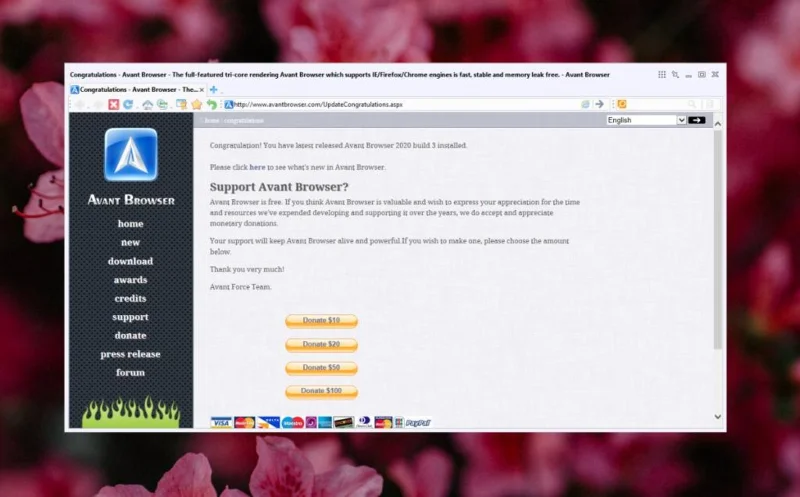 I migliori browser per computer lenti con hardware vecchio