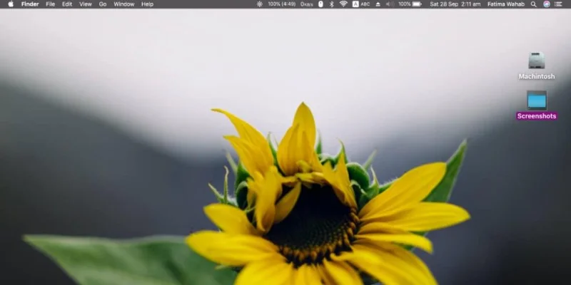So ändern Sie die Größe von Desktopsymbolen unter macOS