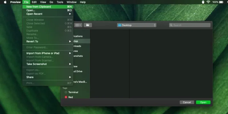 So speichern Sie ein Zwischenablagebild unter macOS